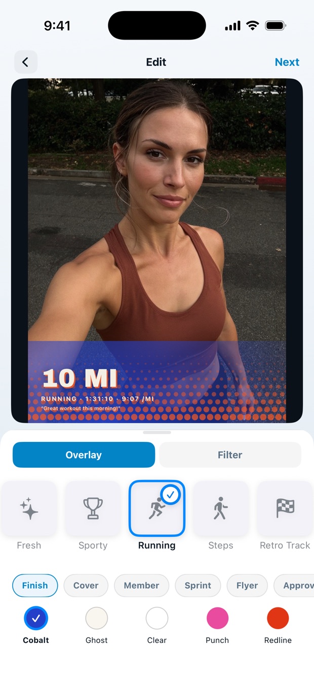 The FitSnap editor with the theme carousel and palette swatches under a workout photo